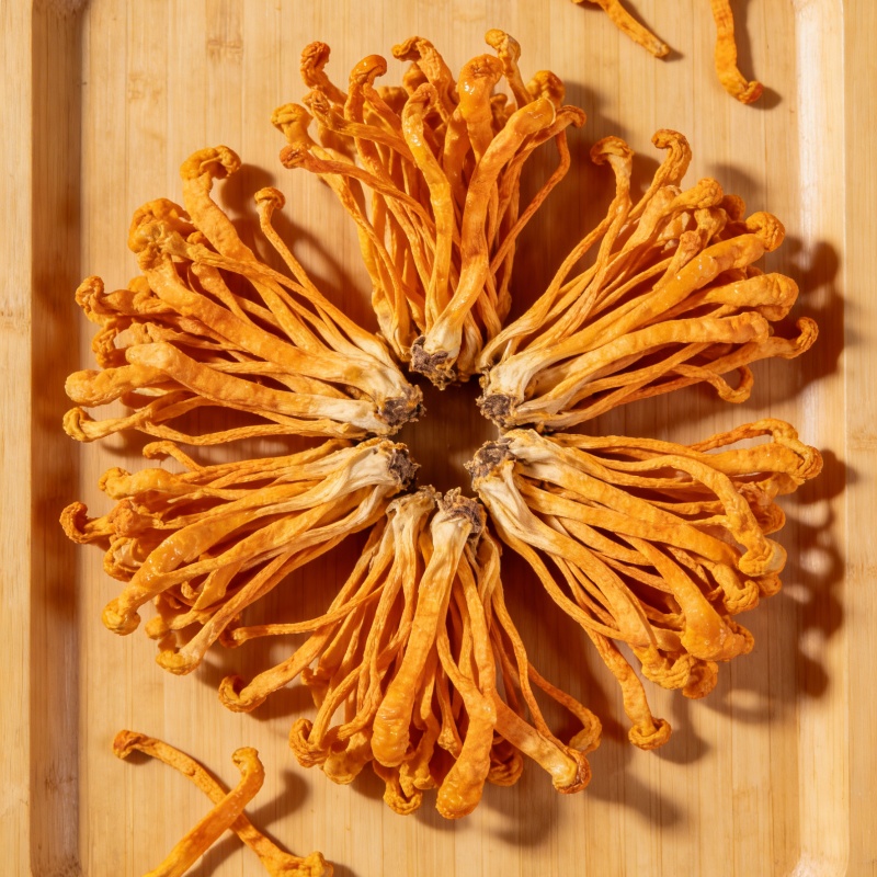 High-quality Dry Cordyceps Flo - Baby Products Soap บทวิจารณ์และราคา